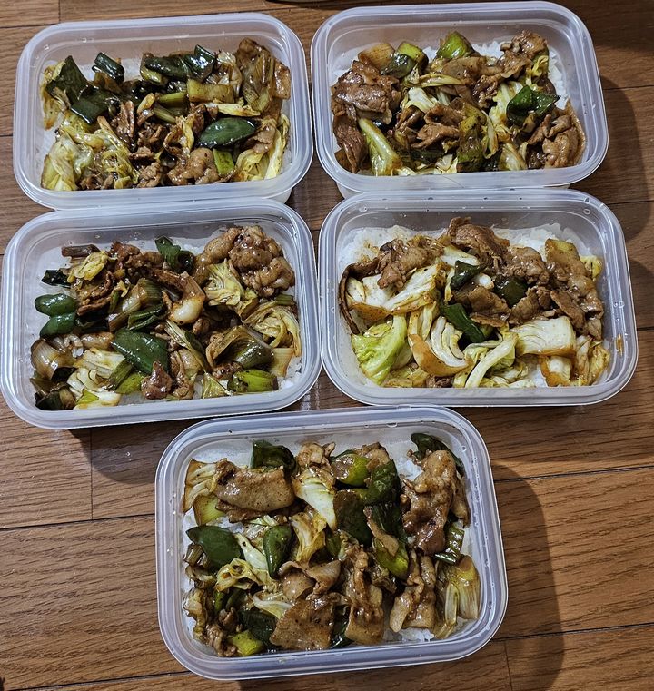 ご飯とおかずをタッパーに詰めた様子