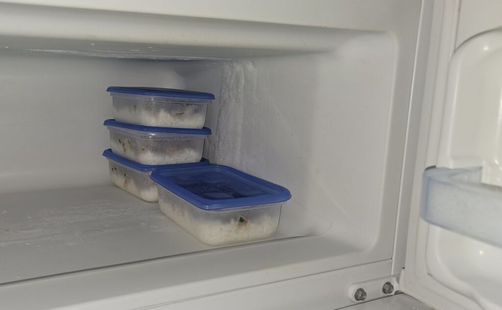 粗熱をとったタッパーを冷凍する様子